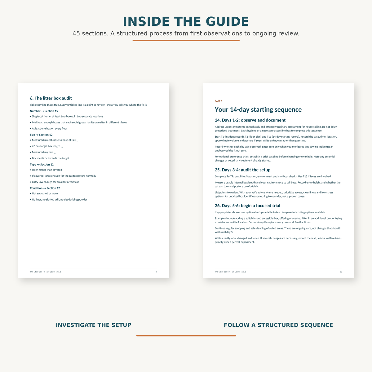 Check the setup and organize your next steps: preview the litter-box audit and starting sequence.